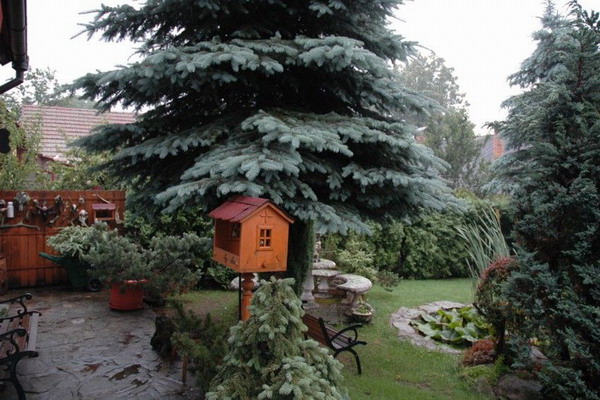 Ubytov�n� - Novohradsk� hory - Chalupa a apartm�n v Malontech - zahrada