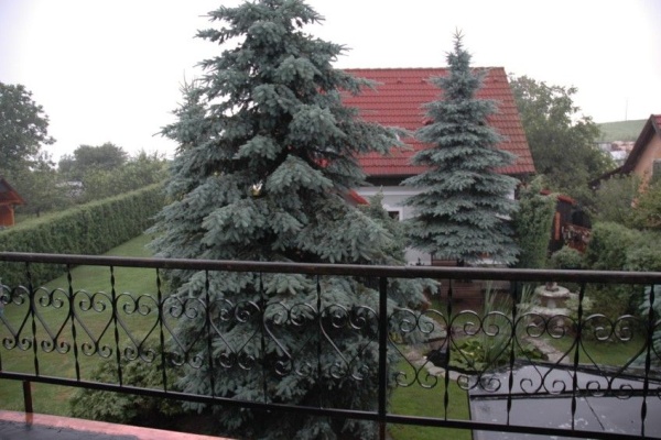 Ubytov�n� - Novohradsk� hory - Chalupa a apartm�n v Malontech - zahrada